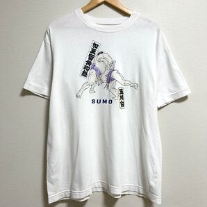 カールヘルム ピンクハウス Tシャツ 白 相撲 すもう 半袖 夏服