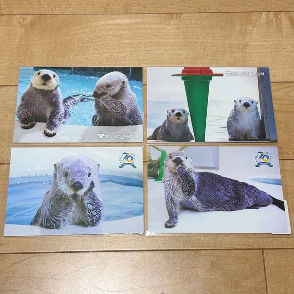 新品 鳥羽水族館 ラッコ メイちゃん キラちゃん グッズ ポストカード セット