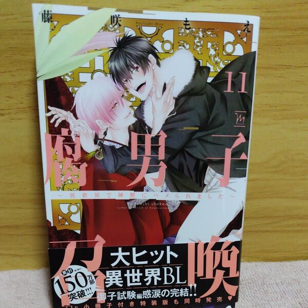 腐男子召喚11