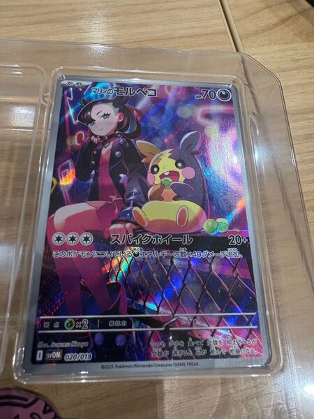ポケカ マリィのモルペコ