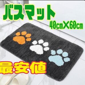 バスマット ネコ足 トイレマット 玄関マット 40×60 洗濯 吸水 速乾