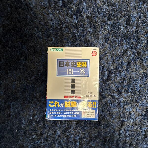 日本史史料一問一答 金谷俊一郎 東進ブックス
