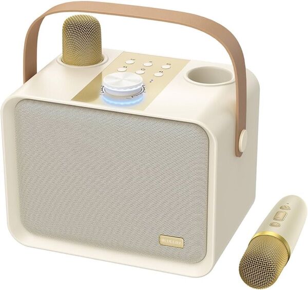 Blueera カラオケセット家庭用 BT マイク 2本 ワイヤレスカラオケ Bluetooth
