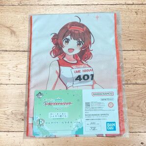 学園アイドルマスターPart12 一番くじ E賞 ひんやりクールタオル