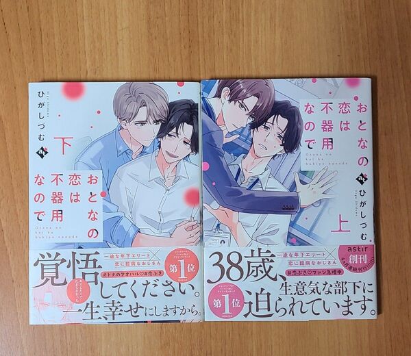 おとなの恋は不器用なので ひがしづむ 上下巻 BL