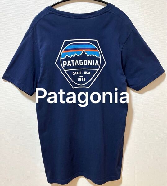 Patagonia パタゴニア ビッグブランドロゴTシャツ両面プリントTシャツ メキシコ製
