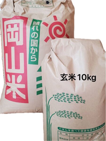 お米 にこまる 玄米 10kg 岡山県産 令和6年度 精米はご遠慮下さい