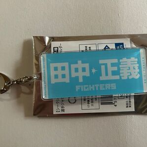 日本ハムファイターズ 田中正義