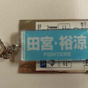 日本ハムファイターズ 田宮裕涼