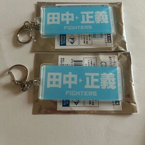 日本ハムファイターズ 田中正義