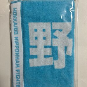 日本ハムファイターズ 野村佑希