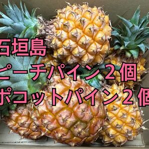 お試し!!スナックパイン4 ピーチパイン2 ボゴール パイナップル ぽこっと 桃