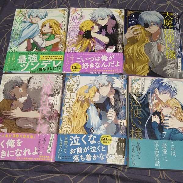 家から逃げ出したい私が、うっかり憧れの大魔法使い様を買ってしまったら ②~⑦巻