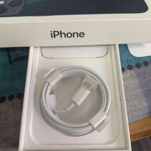 iPhone 充電器 純正 タイプCライトニングケーブル Apple正規品