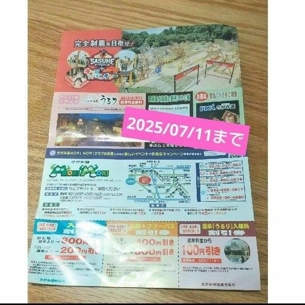 【お得】さがみ湖 モリモリ クーポン 割引券 MORIMORI プレジャーフォレスト フリーパス サスケ