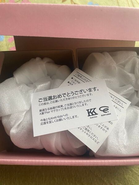 【限定お値下げ】KinKi Kids ペアマグカップ A賞 当選品 キンキ 当選 限定
