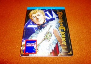 中古DVD 【ブラッククローバー】第2期パート5　91-102話BOX！国内プレイヤーOK