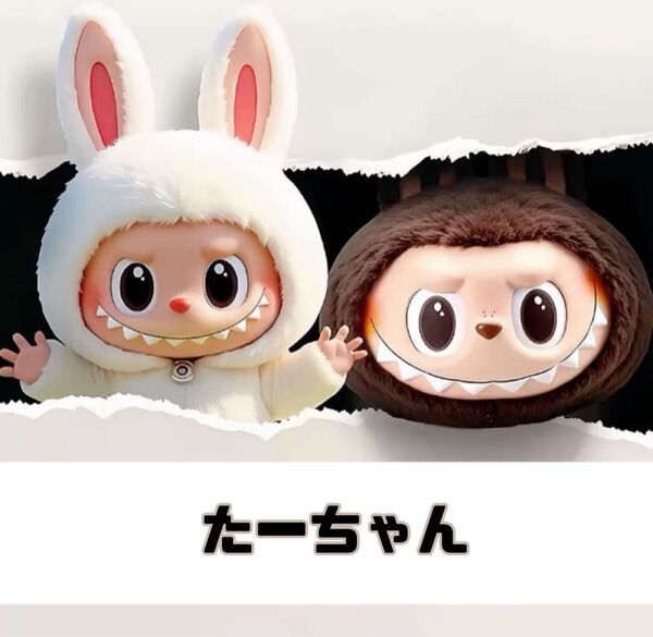 雑誌