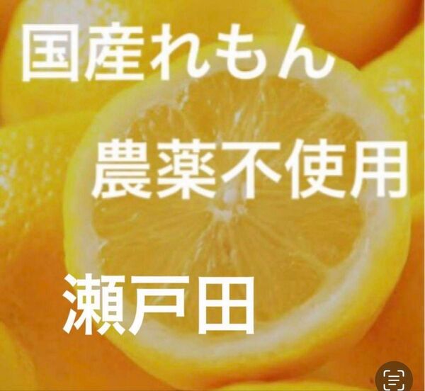 国産瀬戸田レモン
