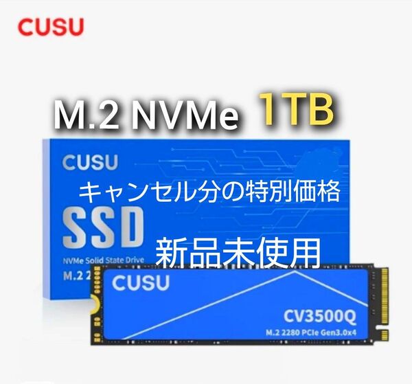 SSD 1TB CUSU CV3500Q M.2 NVMe PCIe3.0 x 4 新品未使用 特別価格