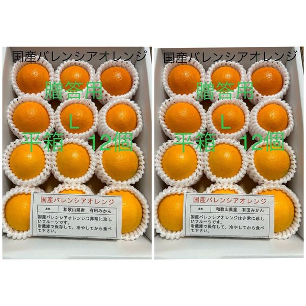 贈答用 2箱セット L 平箱 国産バレンシアオレンジ 12個入り お中元 有田みかん