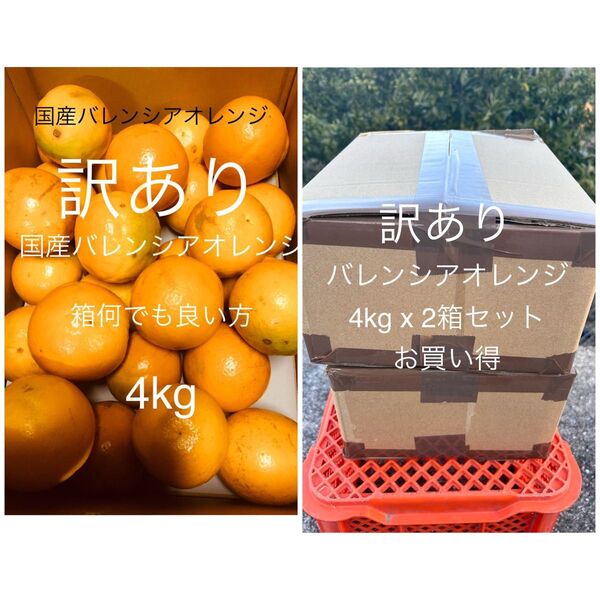 訳あり2箱セット 国産バレンシアオレンジ M-L 4kg x2箱何でも良い方