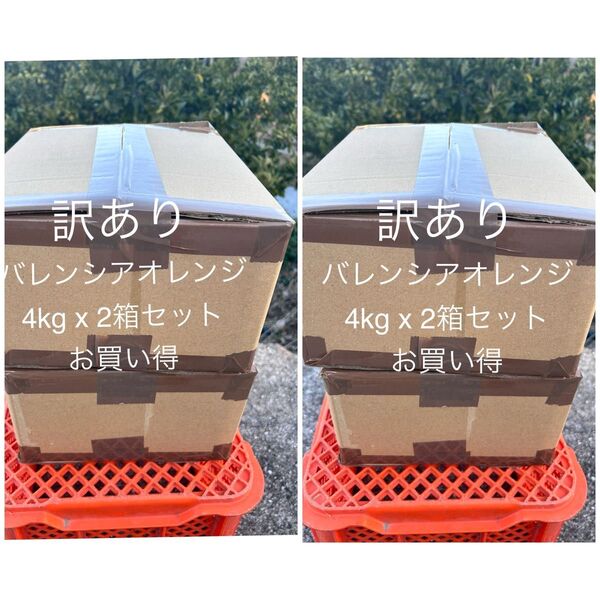 訳あり4箱セット 国産バレンシアオレンジ MIXサイズ 4kg x4