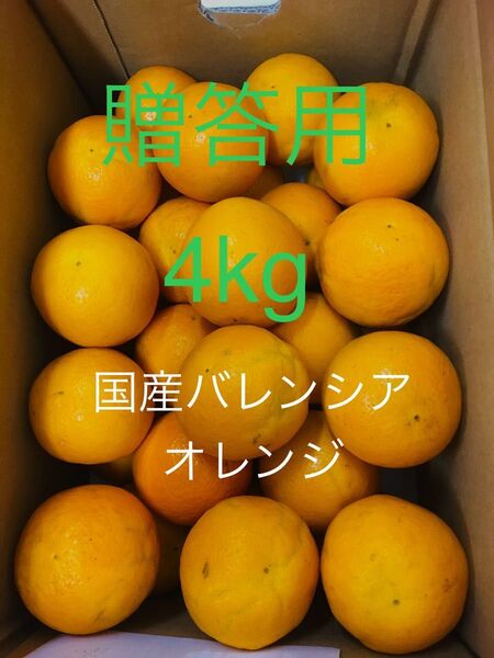 贈答用 国産バレンシアオレンジ L-M 4kg 和歌山県有田みかん