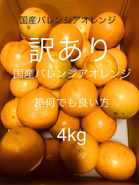 訳あり 国産バレンシアオレンジ M-L 4kg /箱何でも良い方用 有田みかん