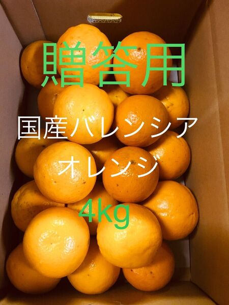 贈答用 国産バレンシアオレンジ L-M 4kg 和歌山県有田みかん