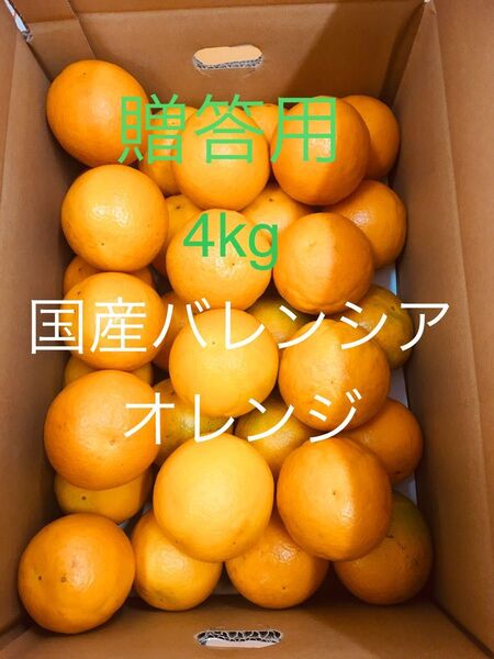 贈答用 国産バレンシアオレンジ LL-L 4kg 和歌山県有田みかん
