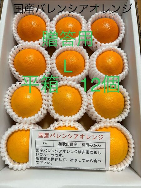 贈答用 L 平箱 国産バレンシアオレンジ 12個入り お中元 有田みかん