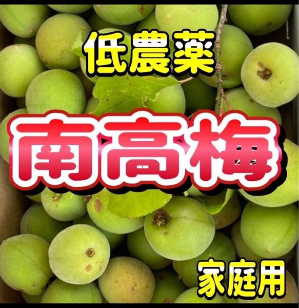 南高梅 1kg 低農薬 ご家族用
