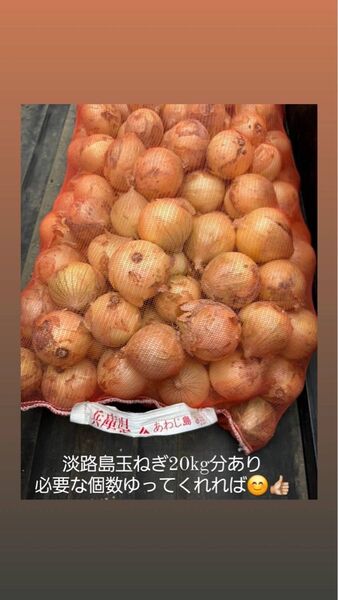 淡路の新玉ネギ 正規品 約1kg 感謝セール