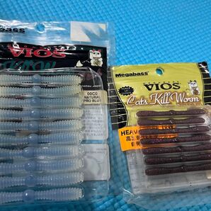 キャッツキルワーム
