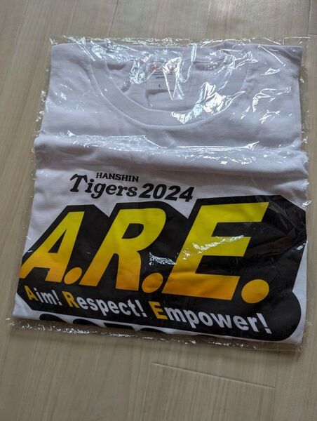【未使用】非売品 2024 阪神タイガース Lサイズ オリジナルTシャツ