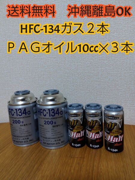 エアコンガスHFC-134 エアコンオイルPAG専用 クーラーガス PAGオイル コンプレッサーオイル