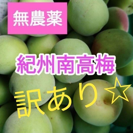 訳あり☆和歌山県産 南高梅 5kg