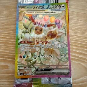 ポケモンカード イーブイex(テラスタル) SAR(SV8a 223/187)