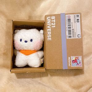 BT21 RJ