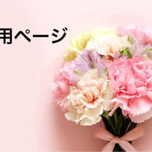 【りんご738様専用ページ】