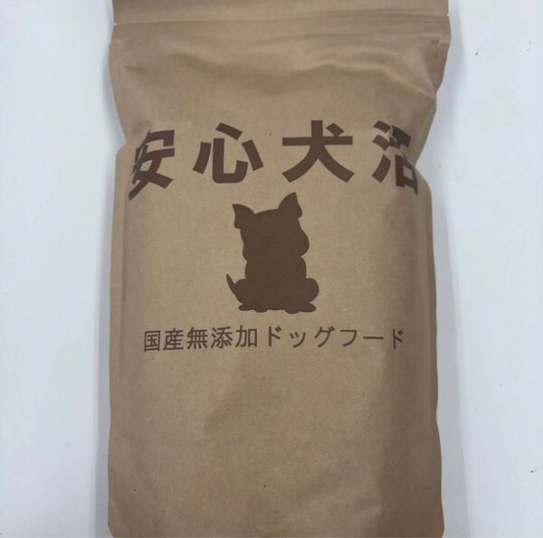 安心犬活