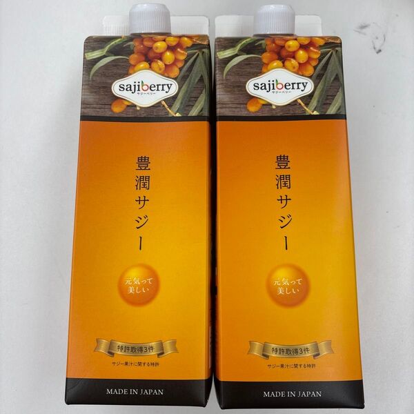 豊潤サジー 2本セット