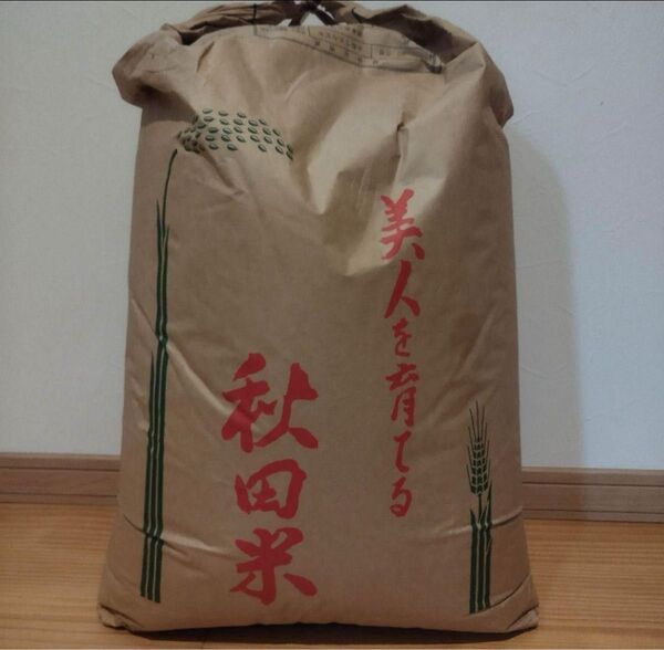 秋田県産 あきたこまち 令和6年産 5kg