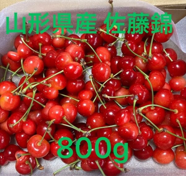 数量限定 朝採り 山形県産 さくらんぼ 佐藤錦 訳あり 800g