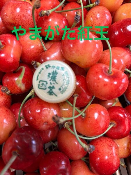 数量限定 朝採り 山形県産 さくらんぼ やまがた紅王 訳あり 800g 大玉