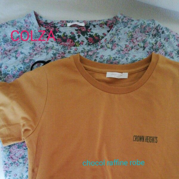 半袖Tシャツ 2枚セット