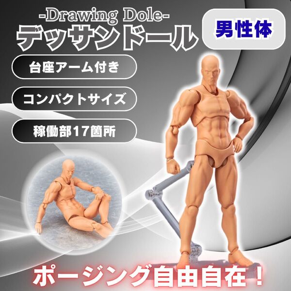 デッサン人形 男 デッサンドール 人体模型 スケッチ イラスト 模型 人物