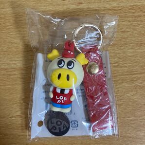 ロピア専用カートキー
