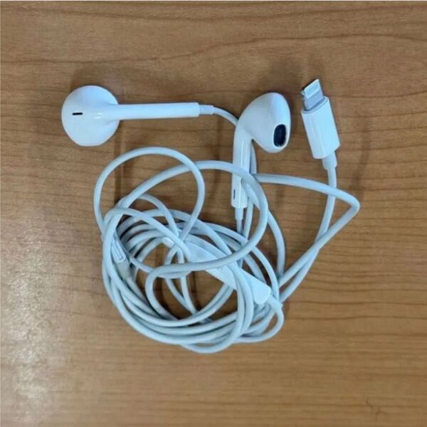 Apple 純正 正規品 ライトニング イヤホン iPhone iPad 対応 Lightning 有線イヤホン アップル